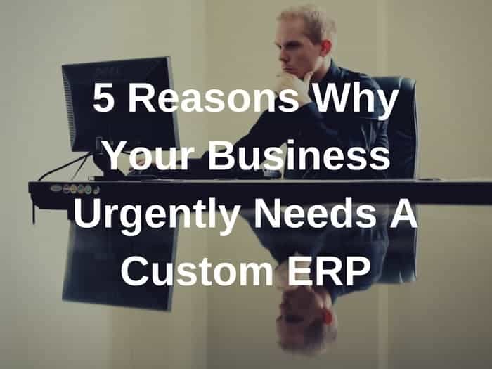 5 Reasons Why Your Business Urgently Needs A Custom ERP